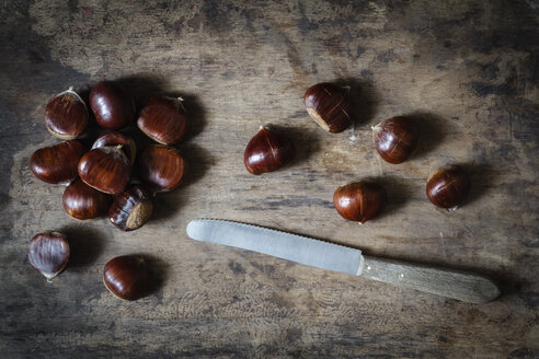 Sweet chestnuts and knife - EVGF03242