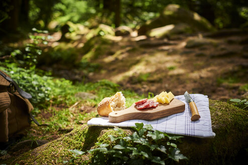 Imbiss mit Brot, Käse und Salami im Wald - DIKF00265