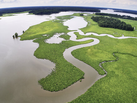 USA, Virginia, Sümpfe des Chickahominy River - BCDF00290