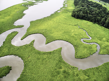 USA, Virginia, Sümpfe des Chickahominy River - BCDF00296