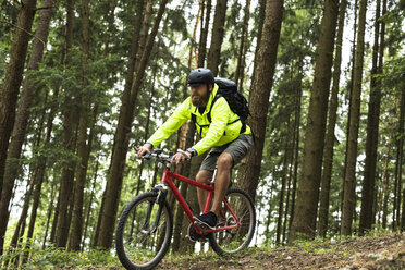 Mann beim Mountainbiken im Wald - MAEF12382