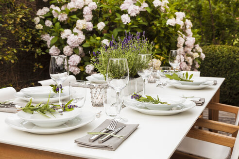 Festive laid table in the garden - WDF04051