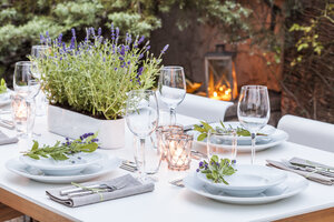 Festive laid table in the garden - WDF04053