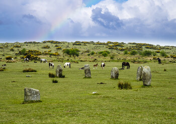 UK, Cornwall, Bodmin Moor, Steinkreis 'The Hurlers' - SIEF07459