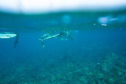 Underwater shot of three surfers sitting on their surfboards - FAF00073