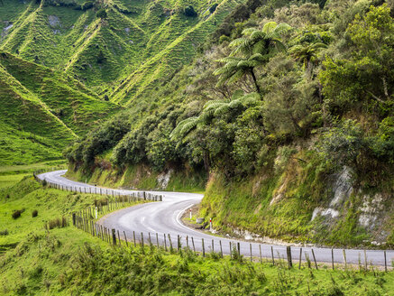 New Zealand, North Island, Manawatu-Wanganui Region, Forgotten World Highway - STSF01272