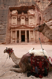 Jordanien, Petra, Blick auf Al Khazneh mit liegendem Kamel im Vordergrund - DSGF01693