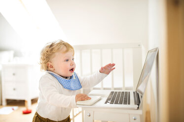 Kleiner Junge zu Hause spielt mit Laptop - HAPF01971