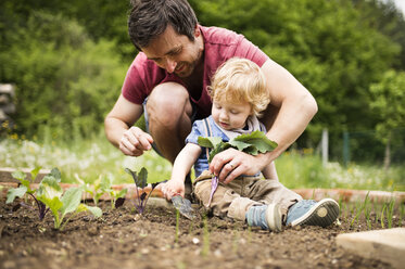 Father with his little son in the garden planting seedlings - HAPF02005