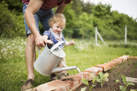 Vater mit seinem kleinen Sohn im Garten beim Gießen von Setzlingen, lizenzfreies Stockfoto