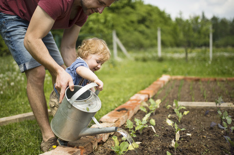 Vater mit seinem kleinen Sohn im Garten beim Gießen von Setzlingen, lizenzfreies Stockfoto