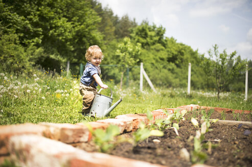 Kleiner Junge im Garten beim Gießen von Setzlingen - HAPF02013