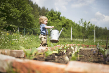 Kleiner Junge im Garten beim Gießen von Setzlingen - HAPF02014