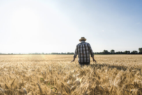 Back view of senior farmer standing in wheat field - UUF11164