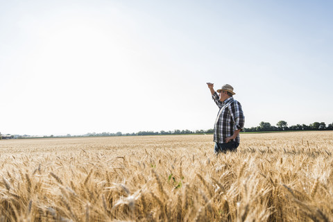 Ein älterer Bauer steht in einem Weizenfeld und schaut in die Ferne, lizenzfreies Stockfoto