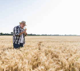 Ein älterer Landwirt untersucht auf einem Feld die Ähren mit einer Lupe - UUF11172
