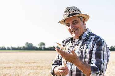 Porträt eines zufriedenen älteren Landwirts, der auf einem Feld Ähren prüft - UUF11174