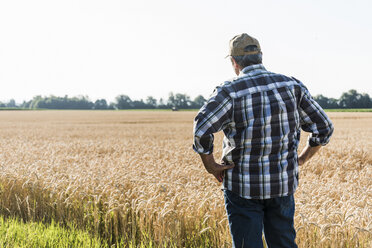 Rückenansicht eines älteren Landwirts, der vor einem Weizenfeld steht - UUF11179