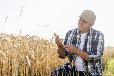 Ein älterer Landwirt prüft auf einem Feld die Ähren - UUF11186