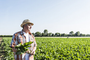 Senior farmer with turnip standing in front of a field - UUF11198