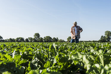 Älterer Landwirt bei der Arbeit auf einem Feld - UUF11200