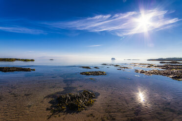 UK, Scotland, North Berwick, view view to Bass Rock - SMAF00798