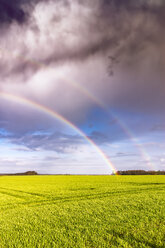 Großbritannien, Schottland, North Berwick, Regenbogen über einem Feld - SMAF00799