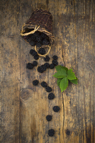 Wickerbasket of organic blackberries and leaves on wood stock photo