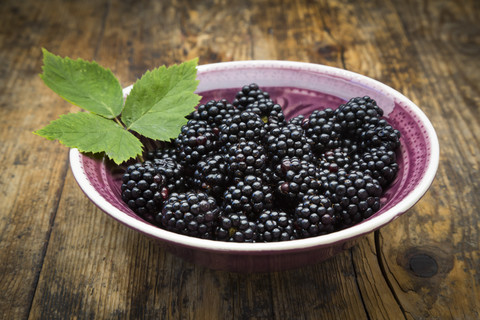 Bowl of organic blackberries on wood stock photo