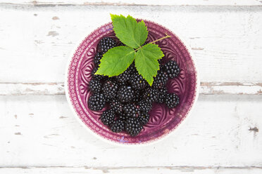 Bowl of organic blackberries on wood - LVF06240