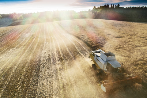 Combine harvester on rape field seen from above stock photo