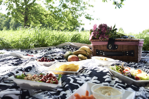 Healthy picnic in a park in summer stock photo