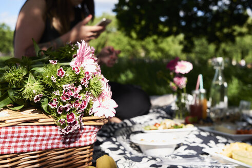 Gesundes Picknick in einem Park im Sommer - IGGF00029