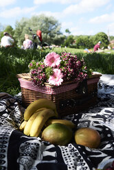 Gesundes Picknick in einem Park im Sommer - IGGF00030