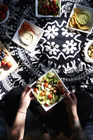 Freunde machen ein gesundes Picknick im Park, lizenzfreies Stockfoto