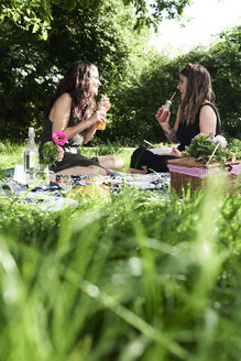 Freunde, die im Sommer ein Picknick machen, sich unterhalten und frische Säfte trinken - IGGF00036