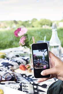 Die Hand fotografiert ein gesundes Picknick im Park - IGGF00041