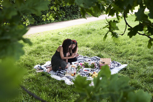 Freunde machen ein Picknick im Sommer, unterhalten sich und schauen auf ihr Smartphone - IGGF00042