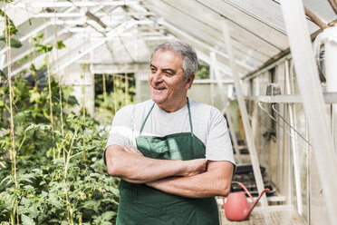Smiling senior man in greenhouse - UUF11300