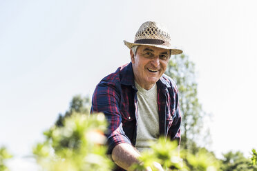 Portrait of smiling senior man in garden - UUF11307