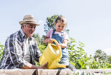 Grandfather and granddaughter in the garden watering plants - UUF11313