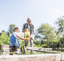 Großvater und Enkelin im Garten beim Gießen von Pflanzen - UUF11316