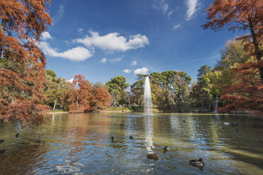 Spain, Madrid, Retiro Park in autumn - DHCF00121