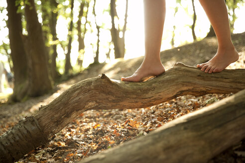 Nahaufnahme der Füße einer Frau im Wald, die auf einem Baumstamm balanciert - MFRF00957