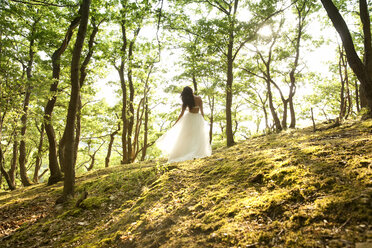 Rückansicht einer jungen Frau im Wald mit Tüllrock - MFRF00958