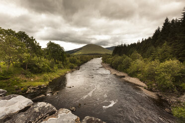 UK, Schottland, Trossachs National Park - FCF01260