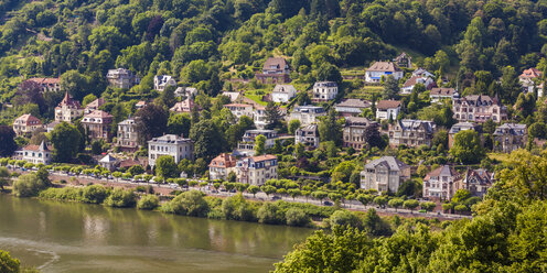 Deutschland, Heidelberg, Blick auf Villenviertel am Neckarufer - WDF04080