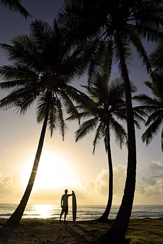 Dominikanische Republik, Silhouette von Palmen und Mann mit Surfbrett bei Sonnenuntergang, lizenzfreies Stockfoto