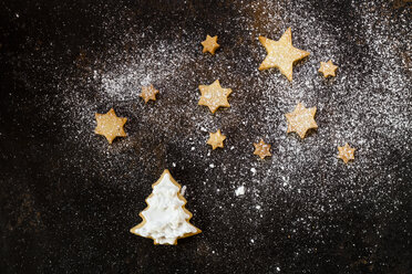 Christmas Cookies and icing sugar on baking tray - SBDF03272