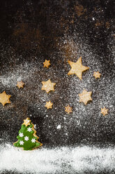 Christmas Cookies and icing sugar on baking tray - SBDF03273